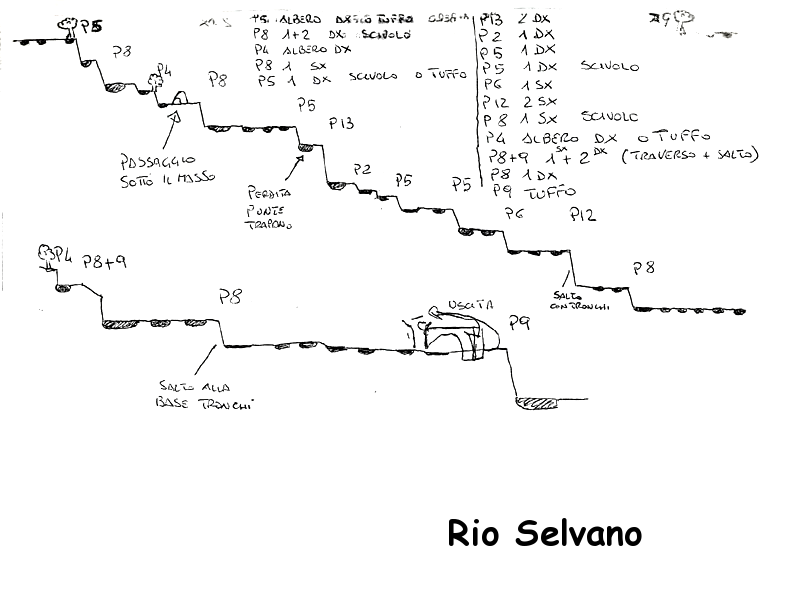 Rilievo-Rio-Selvano.png